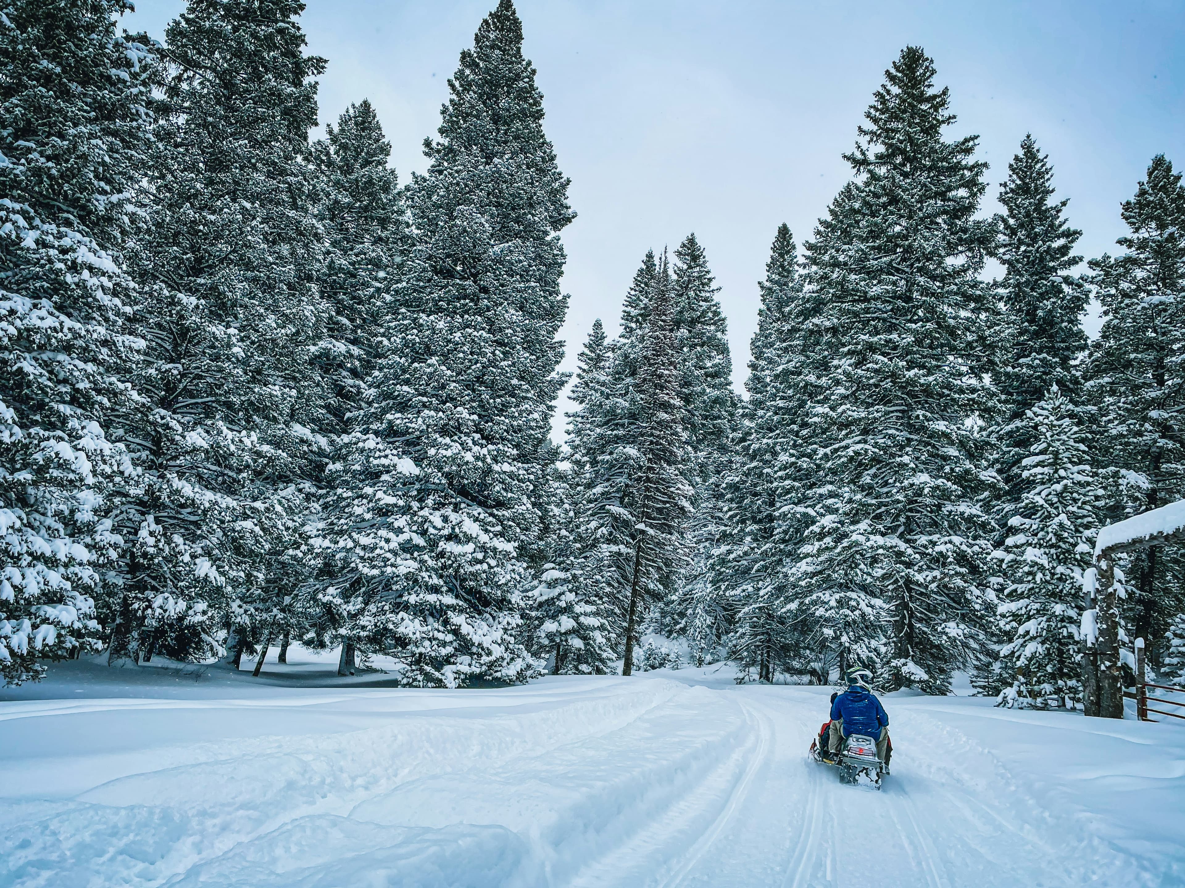 Snowbiking